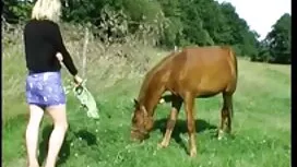 Домашно Чукане на ка ...