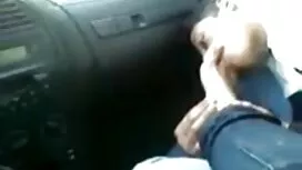 Костният сетер се об ...