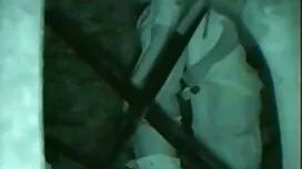 Начин порно с лизане ...