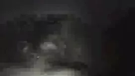 Имаш ли domashni por ...