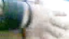 Секс в порно клипове ...
